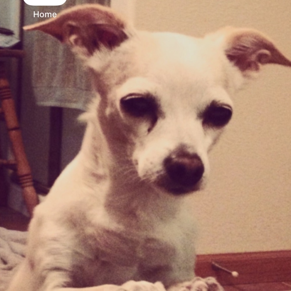 Meet your Posher, Kristin